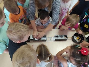 �����������