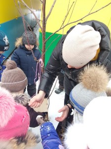 �����������