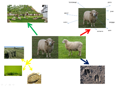 �����������