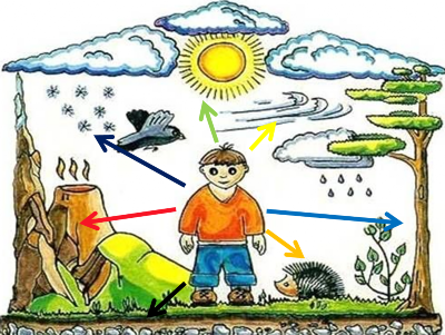 �����������