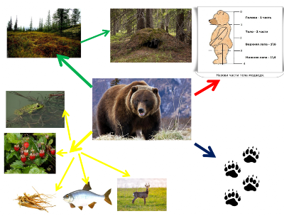 �����������