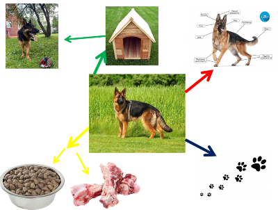 �����������