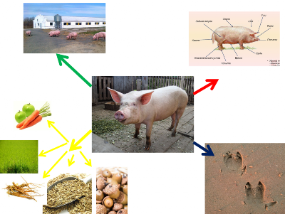 �����������