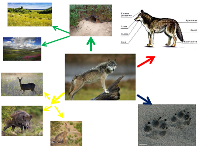 �����������