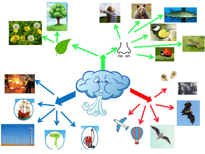 �����������